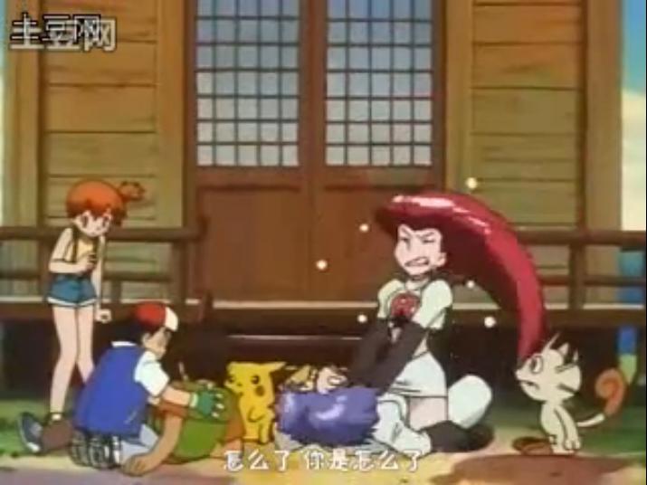 宠物小精灵里面小次郎跟武藏.
