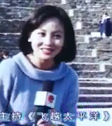 上海传媒界十大美熟妇(品貌双全,人品不佳者不得入选)