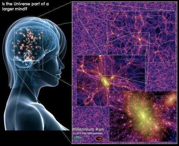 科学发现:大脑结构与宇宙惊人相似