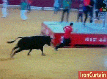 当摔跤成为条件反射