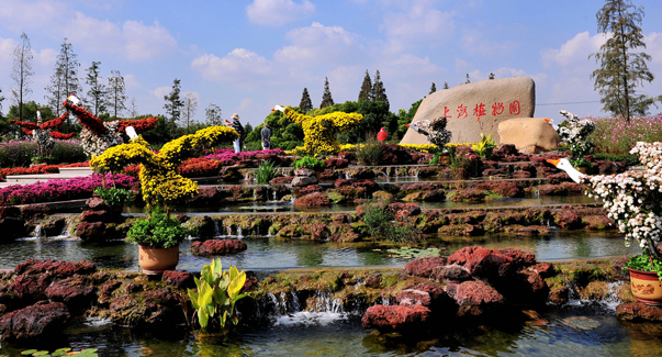 上海植物园