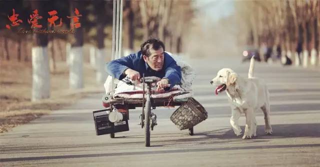关于狗狗的电影