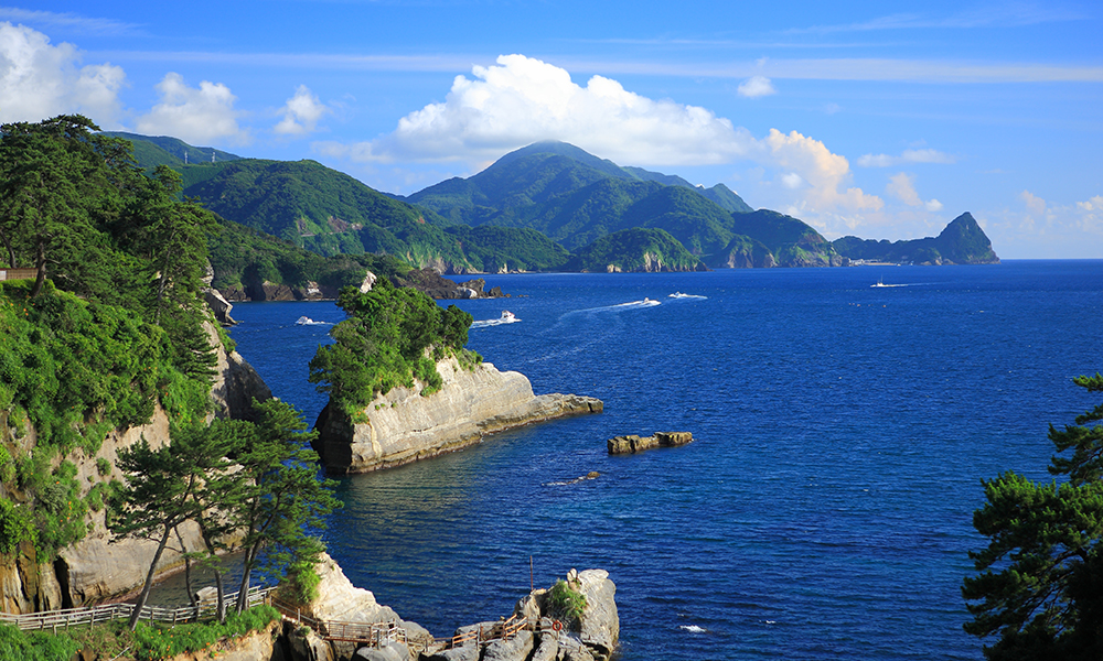 一家三口4天,钱不是问题!舟山半岛 伊豆半岛 哪个更惬意?