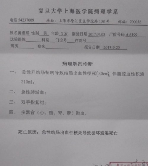医渣好好看看,这是尸检报告!耳光抽的你乓乓响!