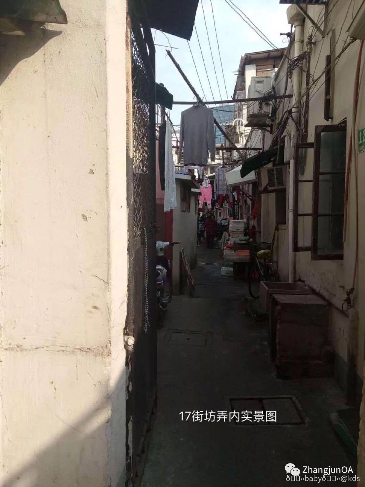 感动中国感动上海感动虹口虹口区17街坊图片3
