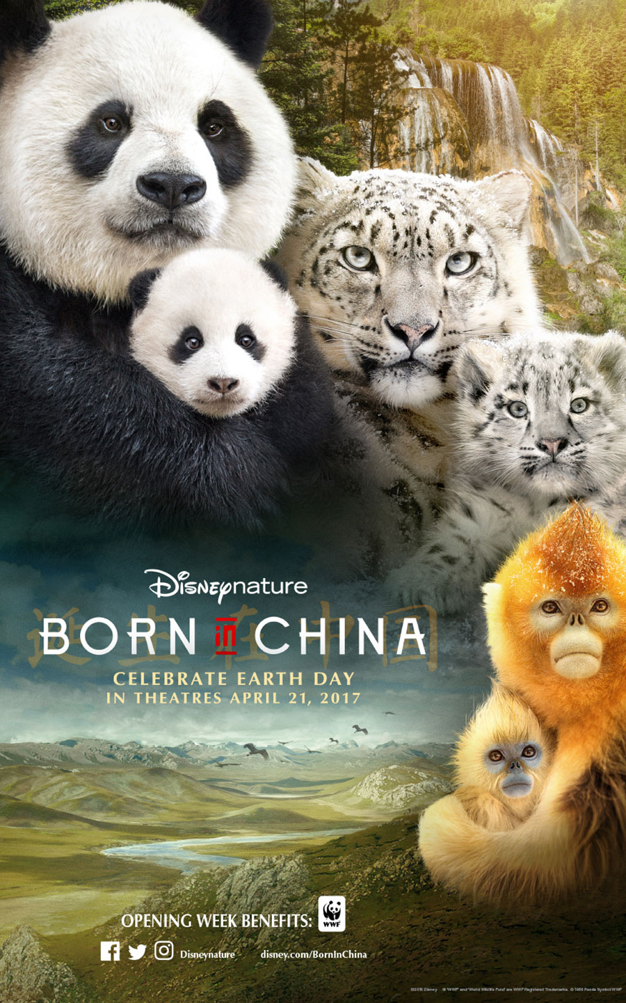 为什么国外关于自然和动物类的纪录片,从来没有中国的