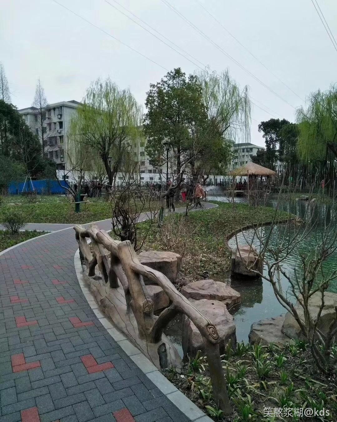 新造的彭浦新村公园不错