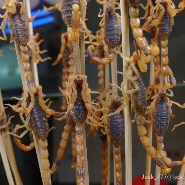 上海哪里有吃烤蝎子?