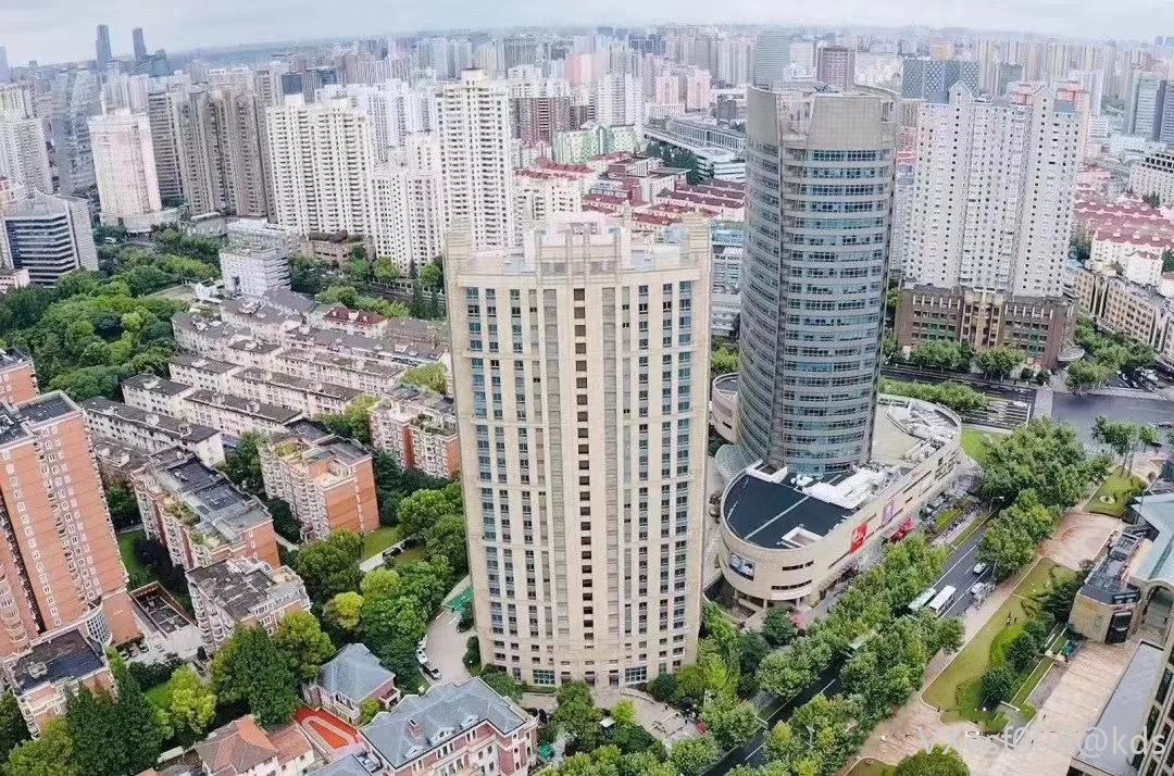 徐汇淮海路大隐于市的顶豪大平层丨坐拥虹桥,淮海路,徐家汇三大cbd