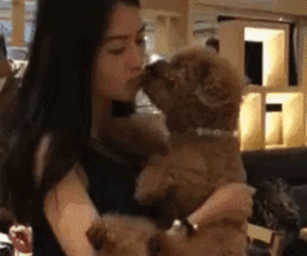 这种舔狗女什么心态