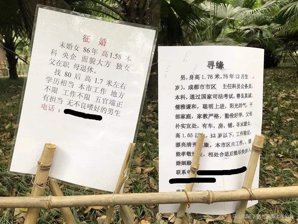 人民公园相亲角存在意义