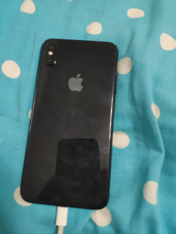 出iphonexsmax256g