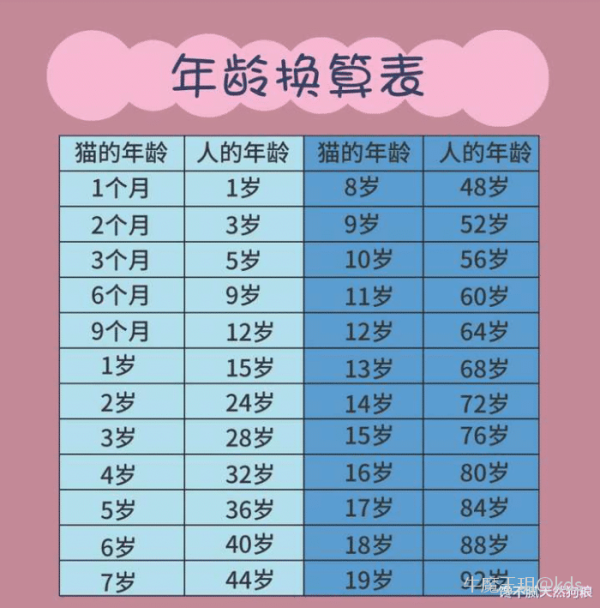 正确的猫咪年龄换算表