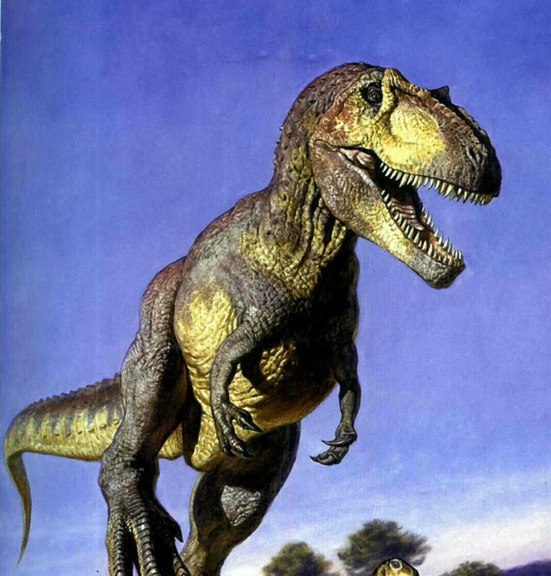 主题:[iphone]请大家踊跃投票 明天给花咪吃什么?