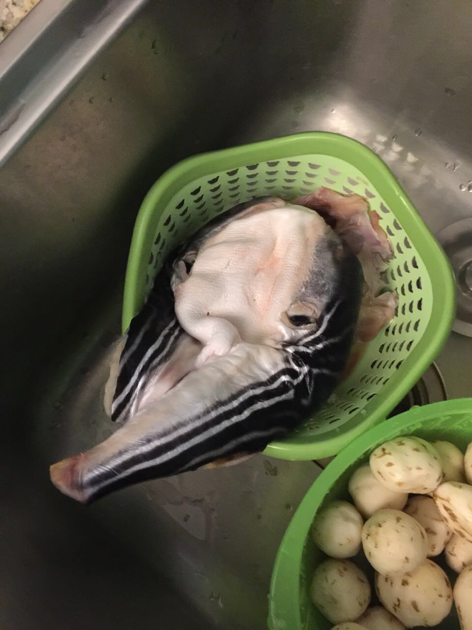 这个鱼有多少人吃过?-宽带山kds-宽带山社区-城市消费门户