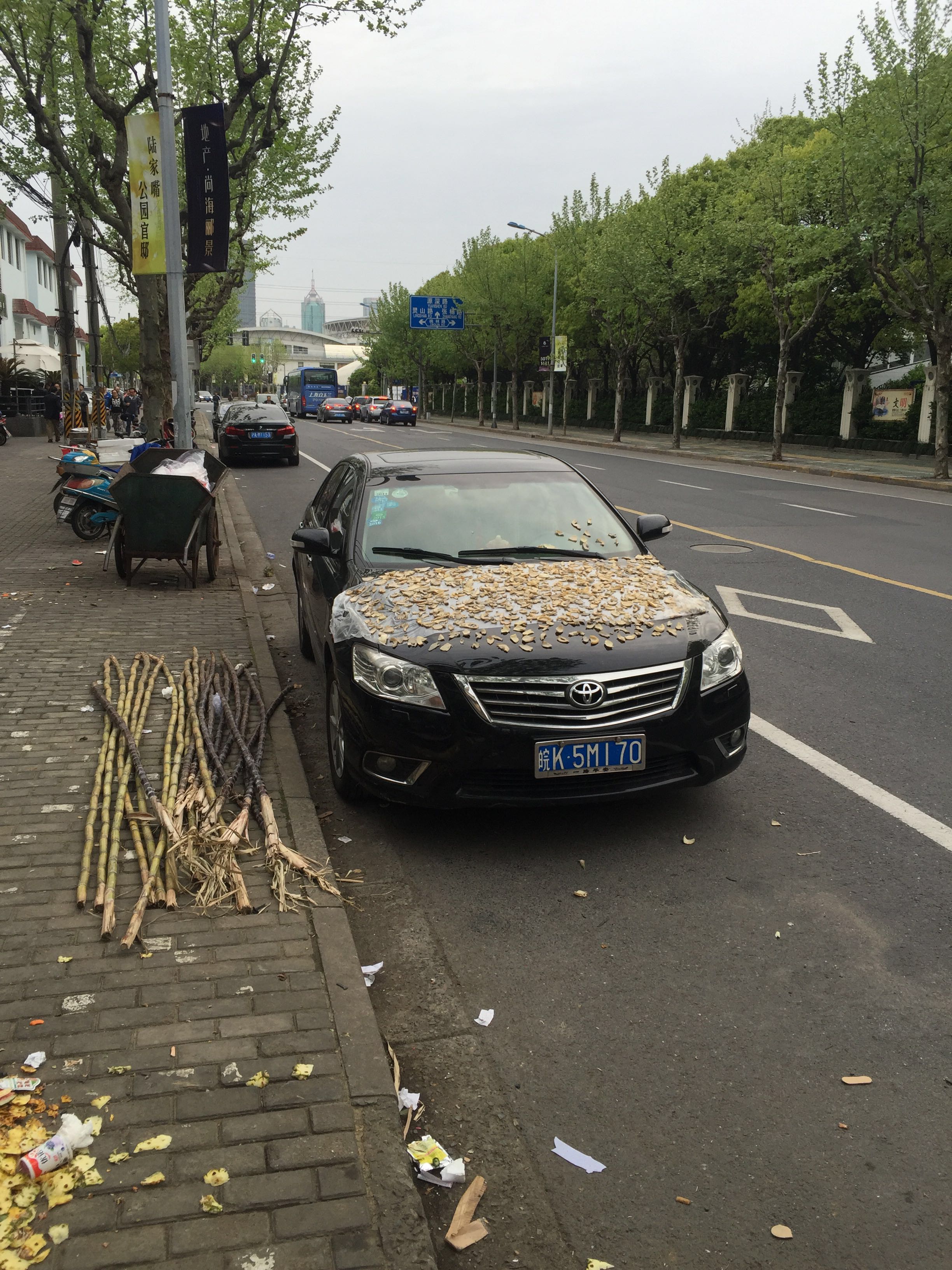 前面路过羽山路 那个小女孩出事的地方