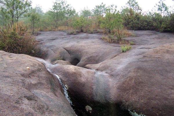 恰灵小道  54               19             