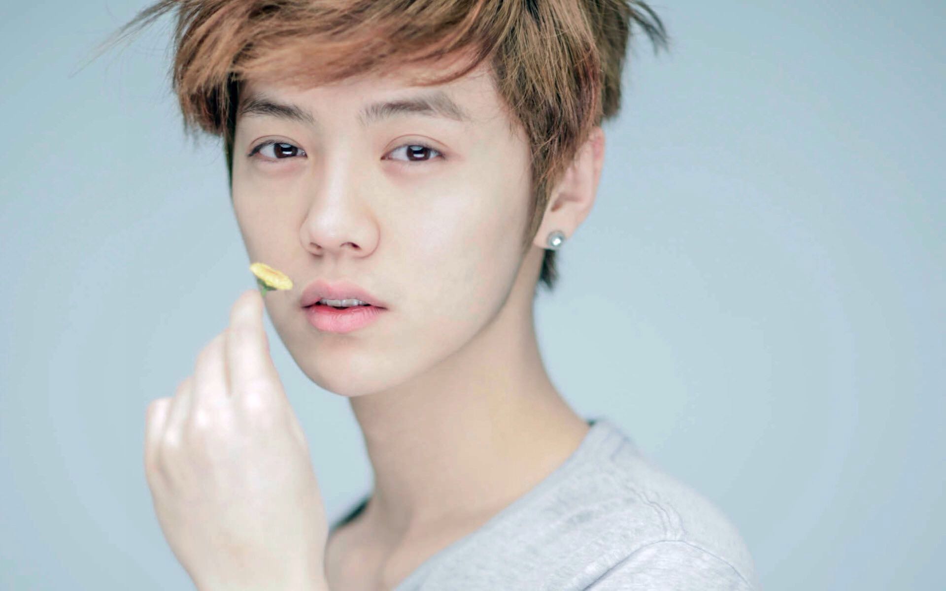 鹿晗这种到凉城浪莎能推倒全店不用小费吗?