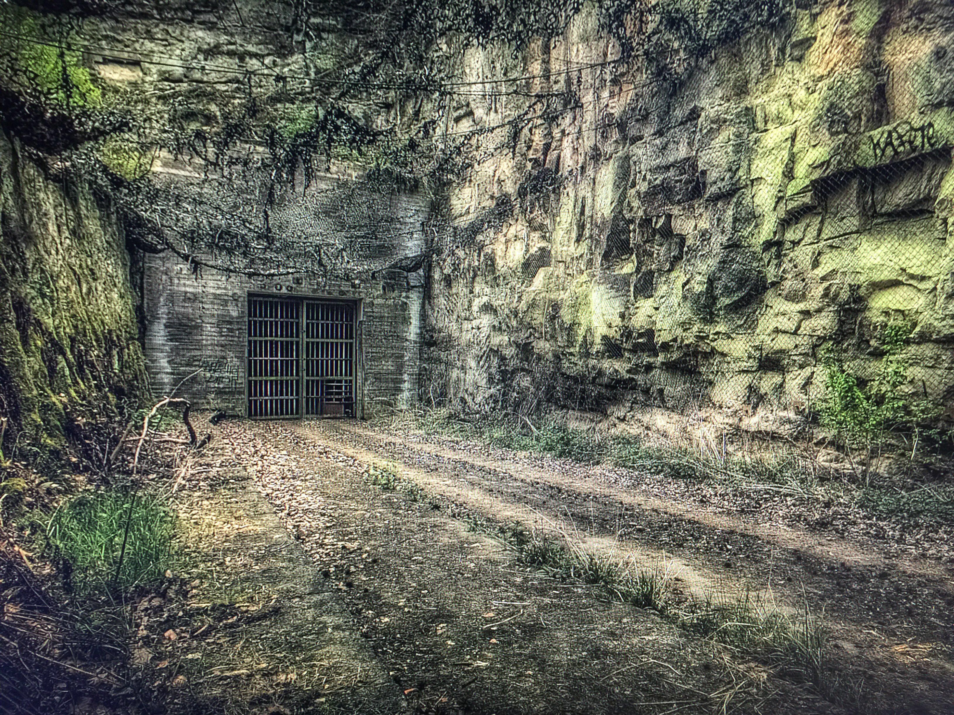 来到荒芜的庭院里……-==kds官方iphone客户端==