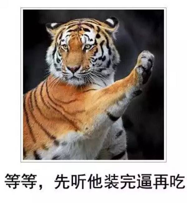 主题:[iphone]老虎也就牙齿和爪子厉害