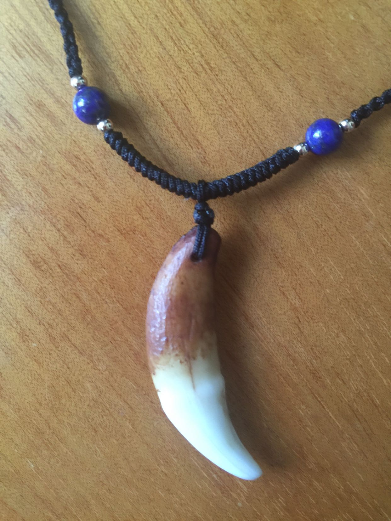 有懂行的吗,这颗狼牙怎么样?