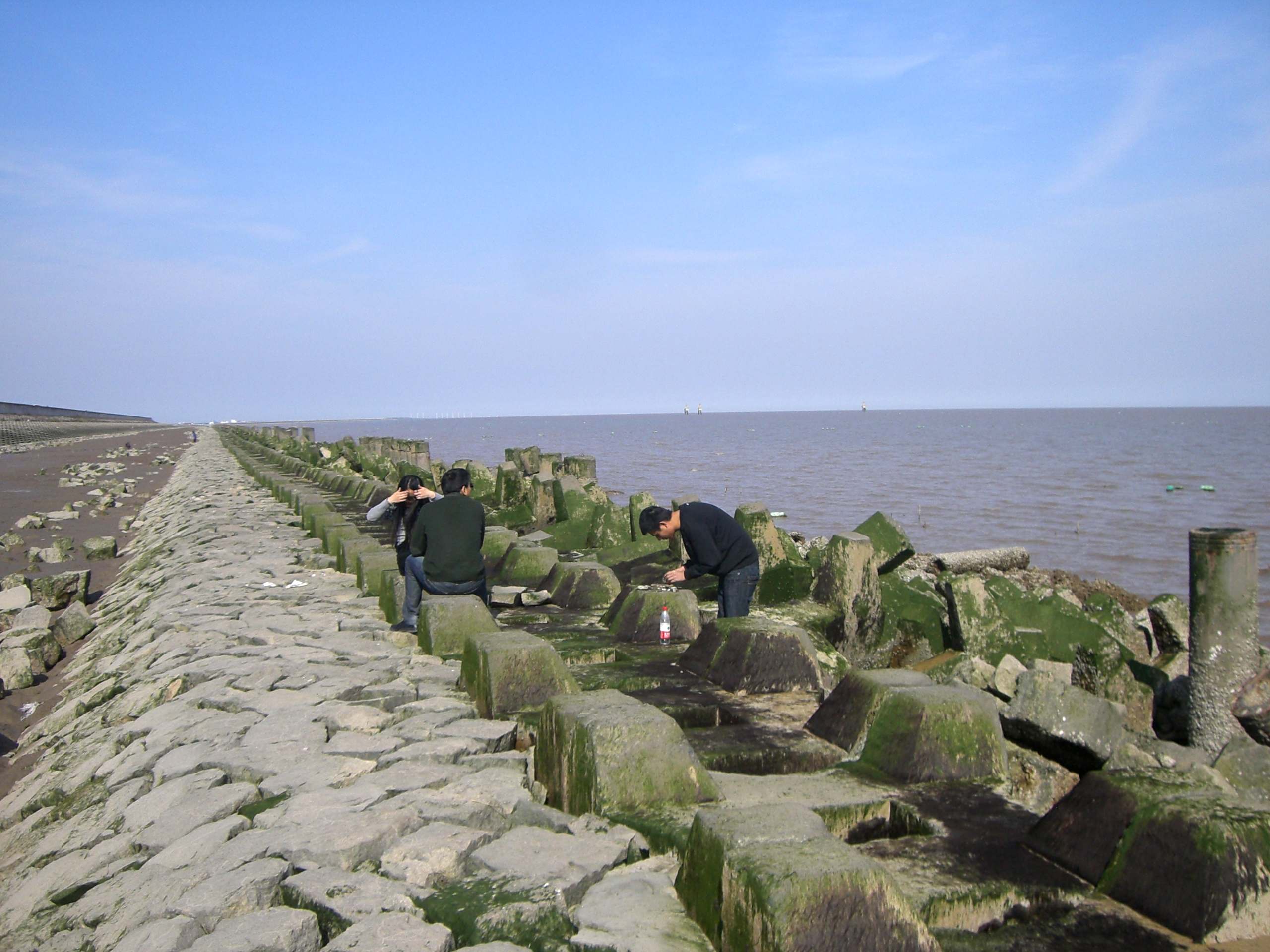 为啥上海不能沿着海岸线发展,像香港那样?