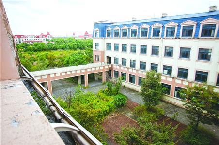 美兰湖幼儿园雄踞全国第二上海第一!