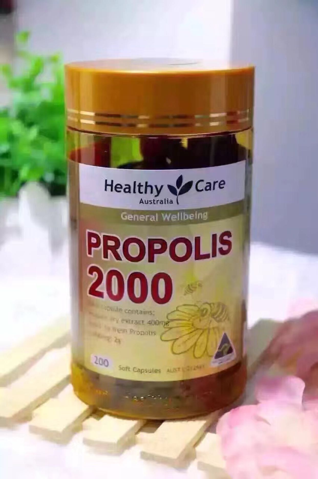 澳洲蜂胶_kds宽带山