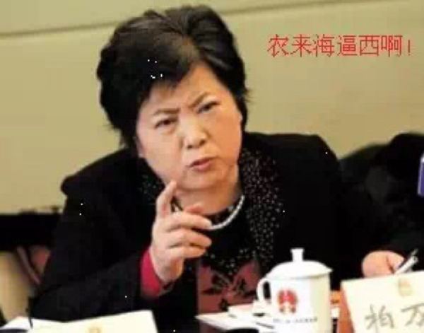 柏万青要开演唱会了伊讲