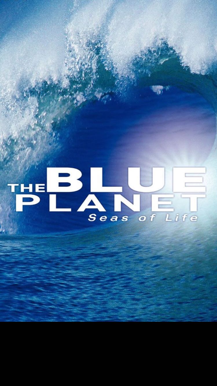 吐血推荐年度最强planet earth ii地球脉动2