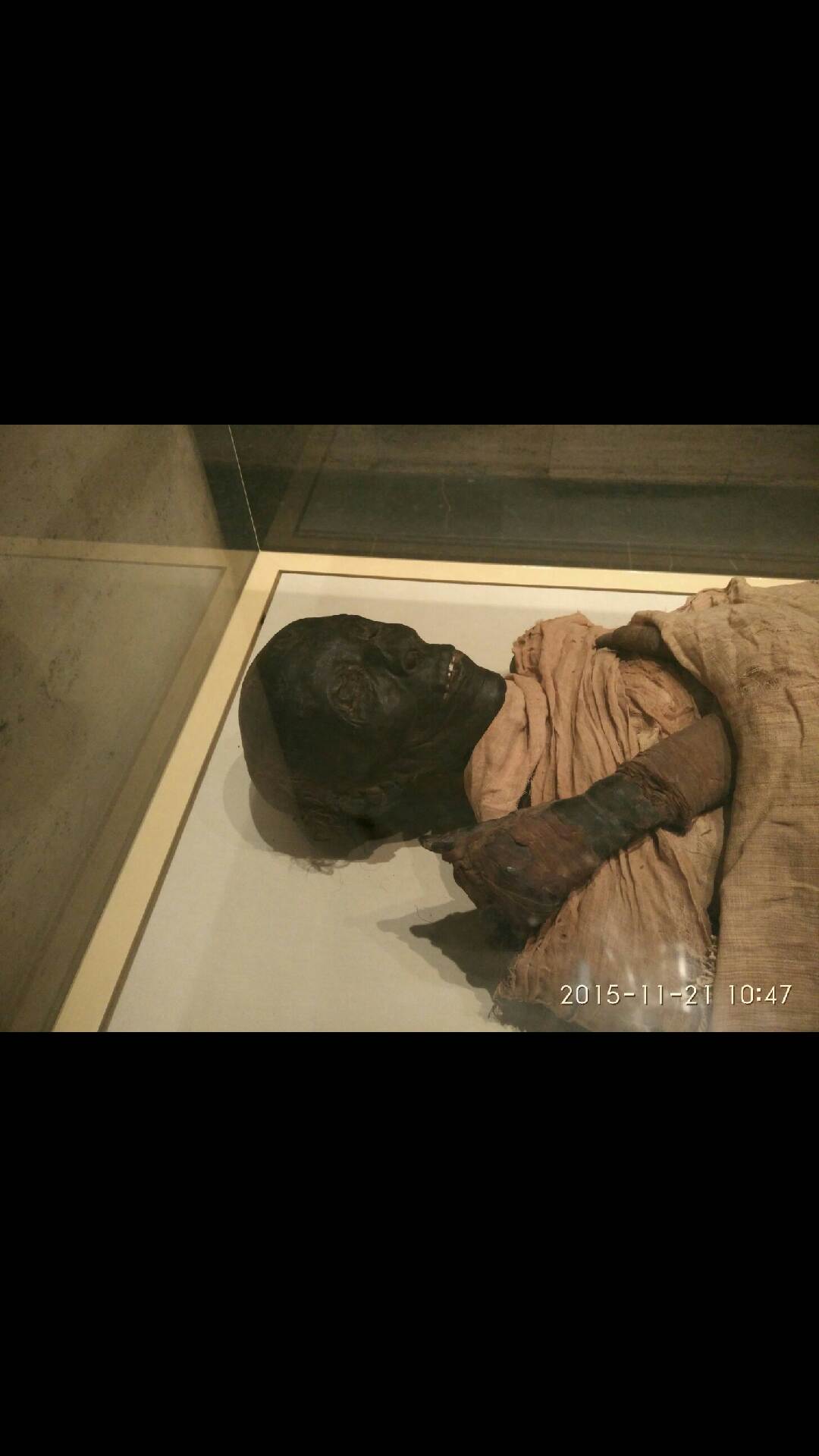 埃及博物馆里的千年老尸