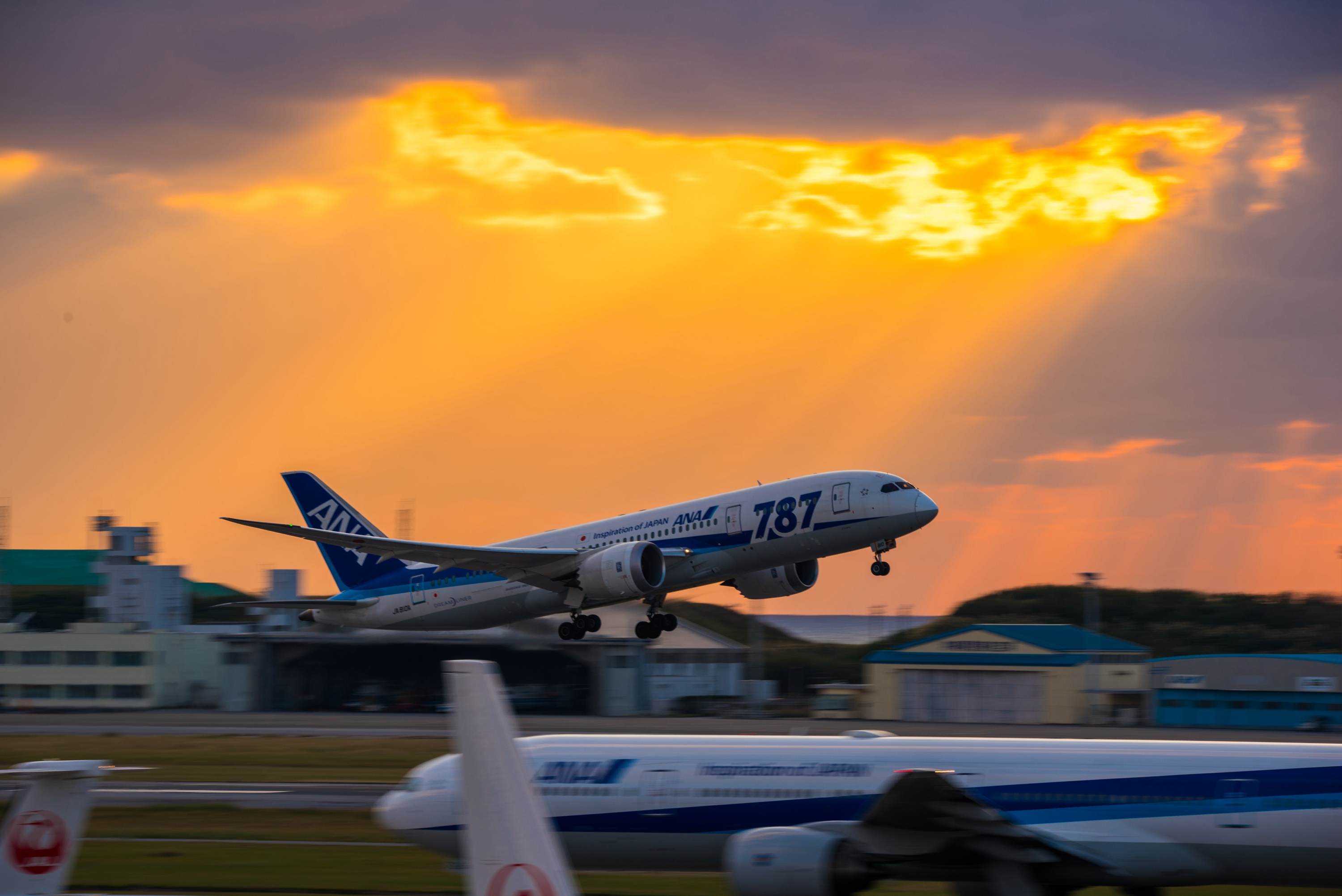 冲绳 嘉手纳 普天间 自驾游 (多图杀猫)