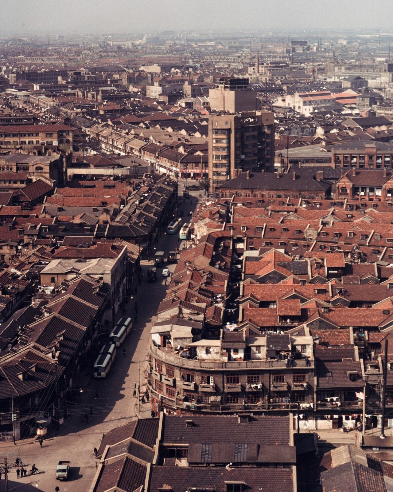 一张老旧照片,一场时光之旅