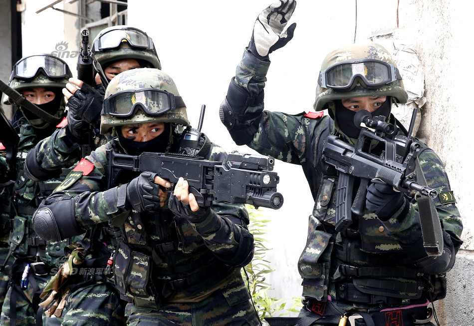 中国陆军单兵武器装备图片