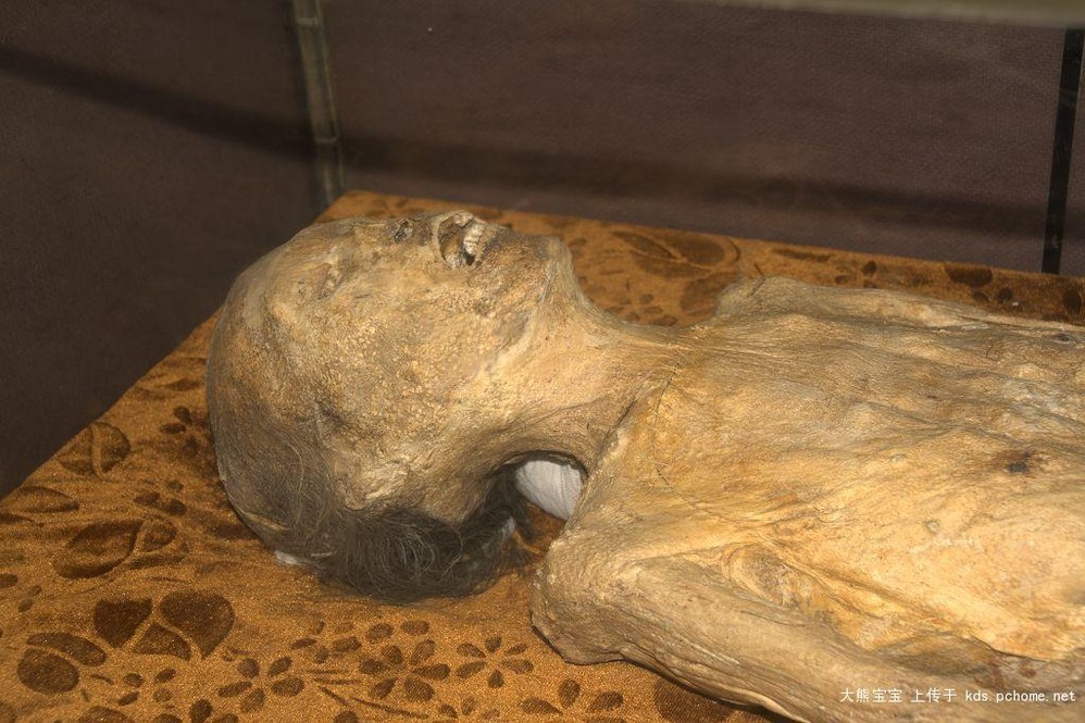 自然博物馆的古尸怎么不见了?