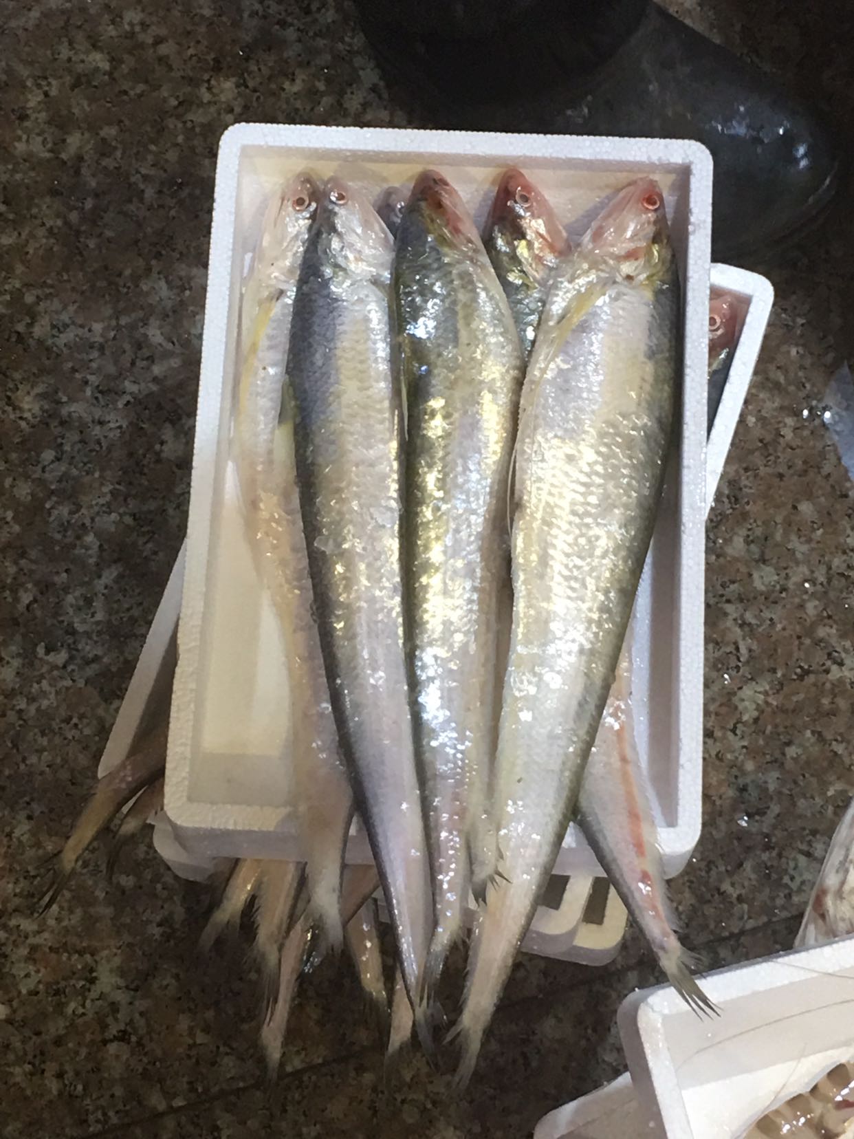 野生刀鱼真那么好吃?