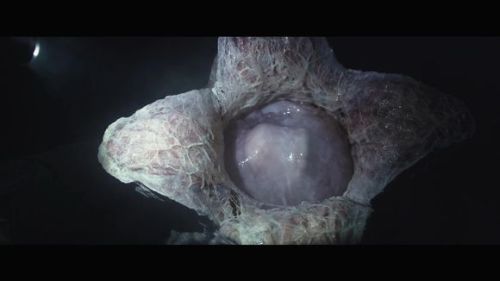 从《异形:契约号》预告片看剧情