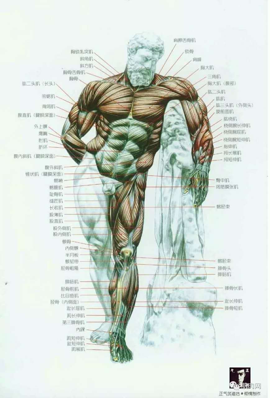 高手觉得这身肉体脂率多少