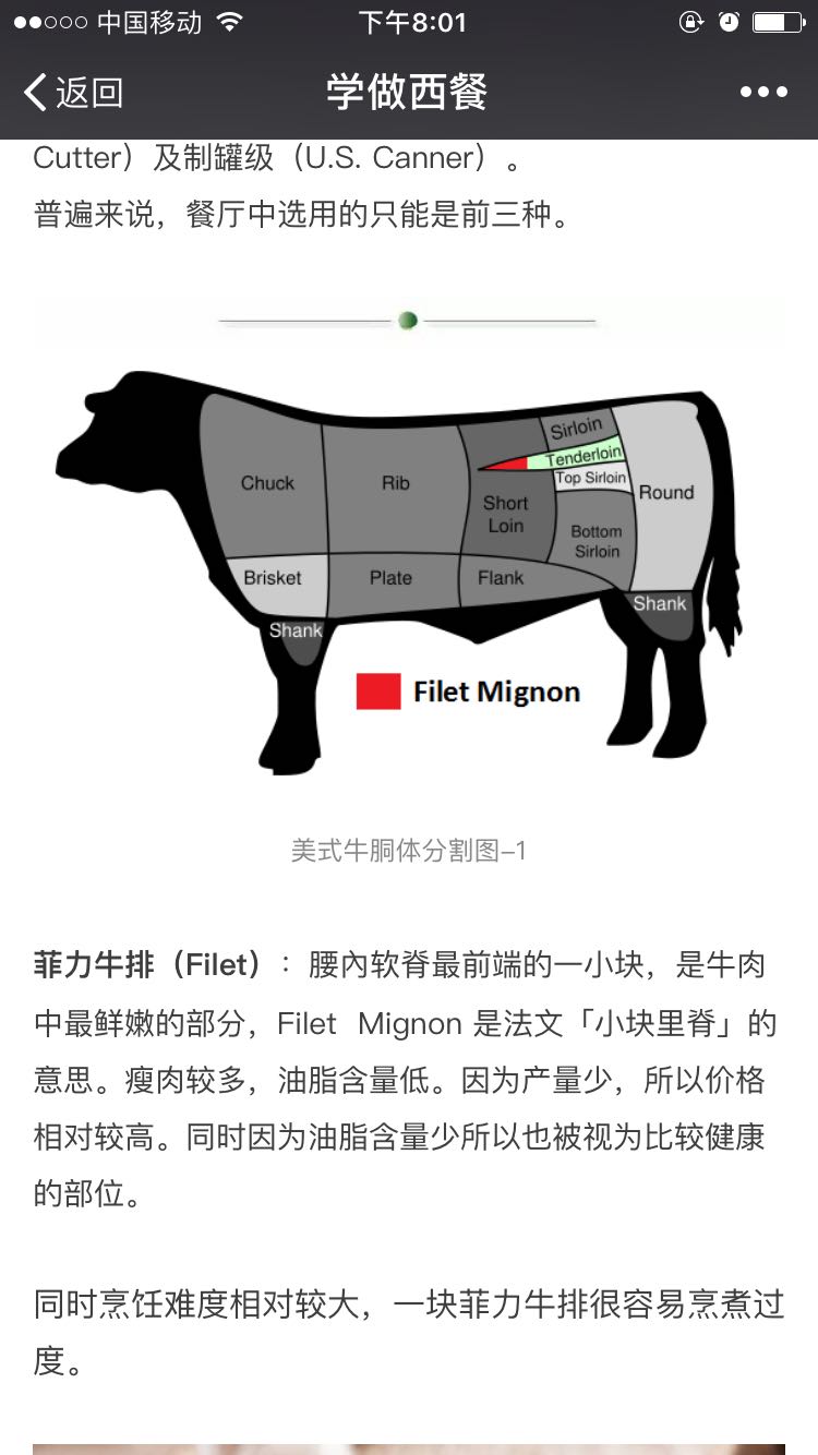 牛各部位的名称图英文图片