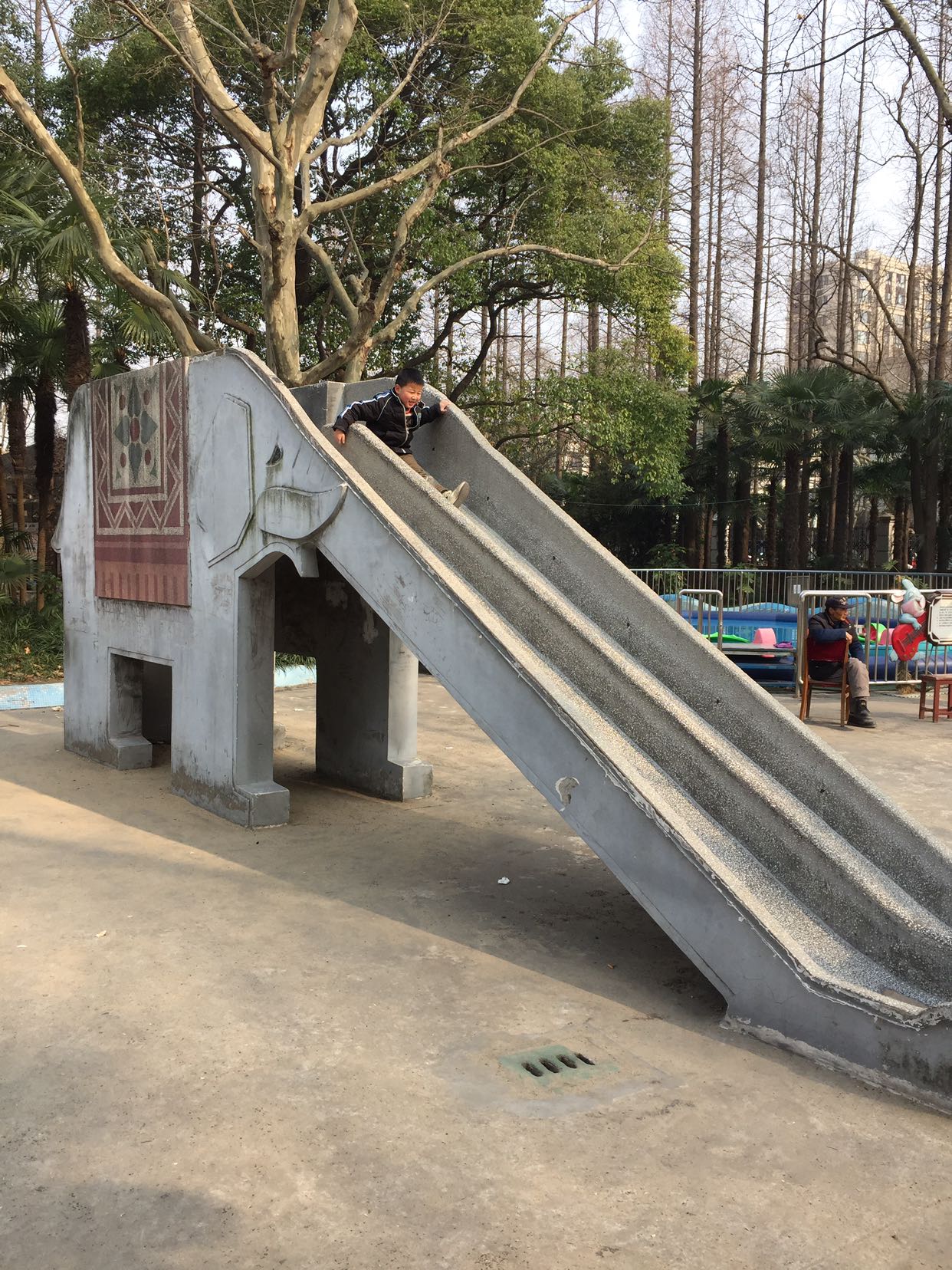 杨浦公园金龙滑车图片
