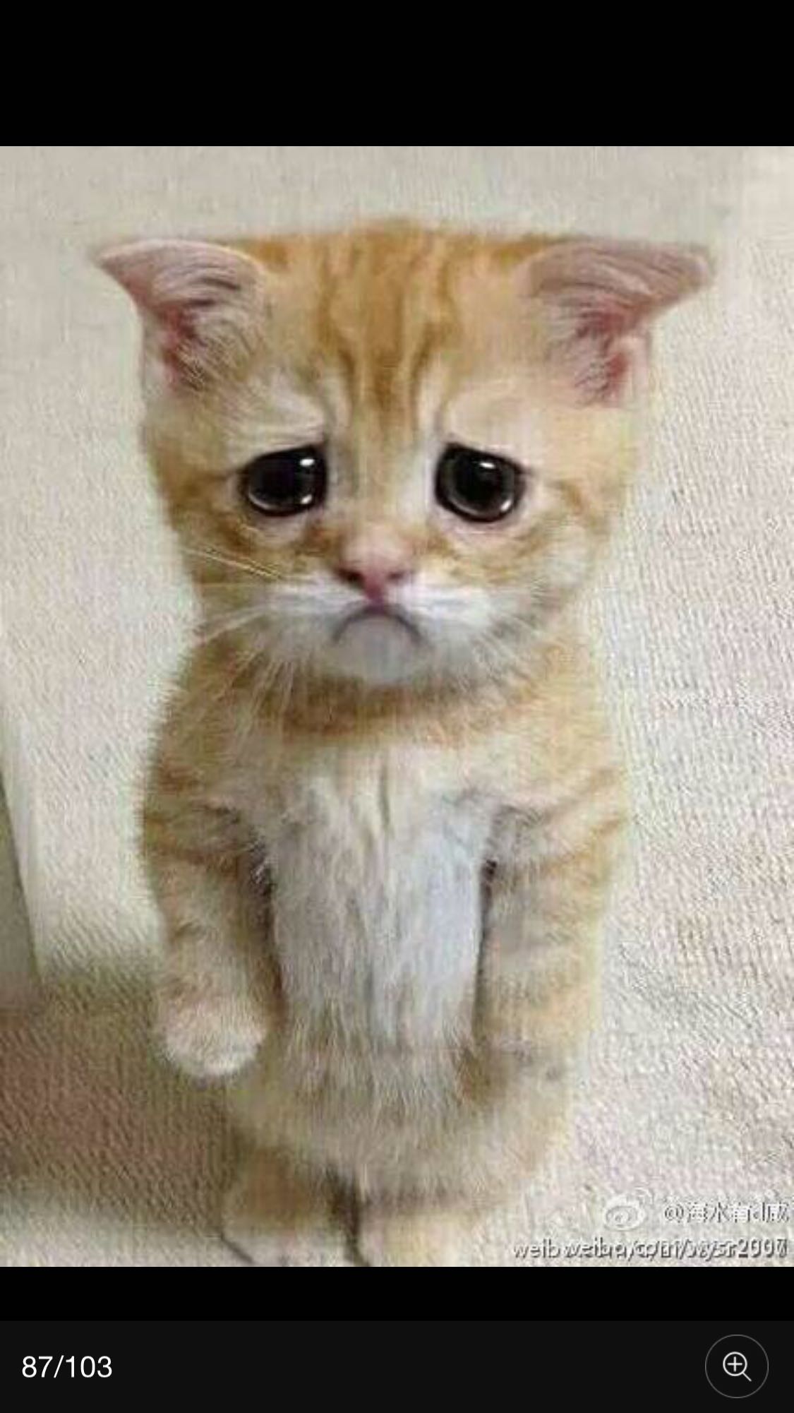 钟刚指出,根据反垄断法的这条规定,判断奥迪是否违法,难点在于判断