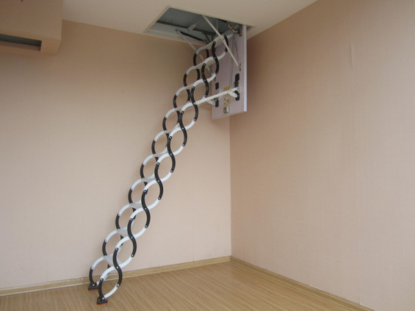 高层:客厅打洞上阁楼用这种梯子的吗?