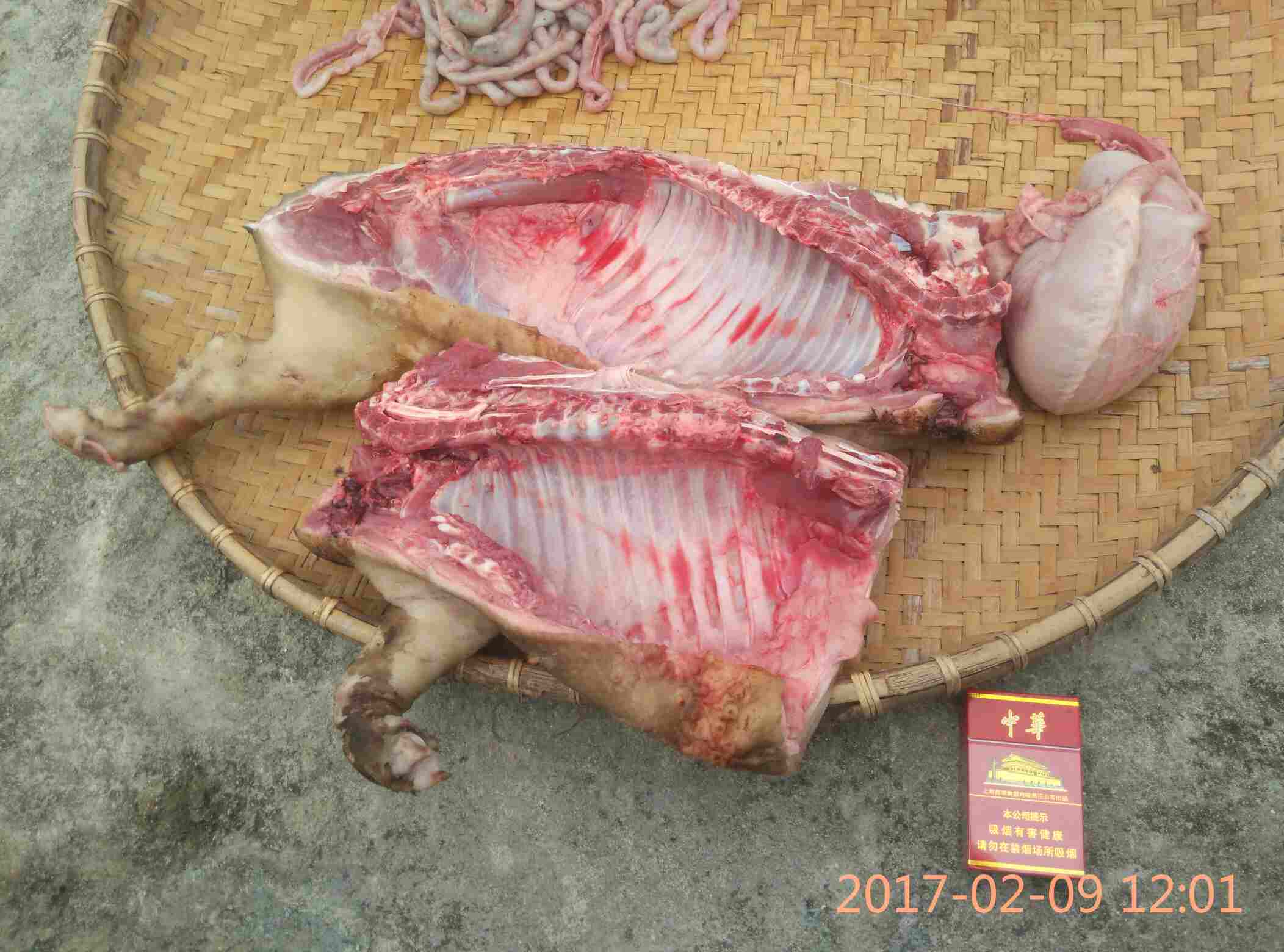 海南五脚猪肉图片图片