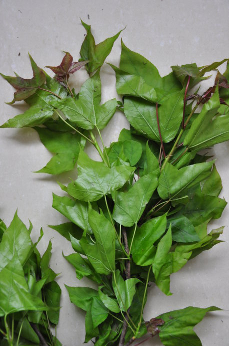 三月三 广西壮族三月三来历和风俗 广西人过"三月三"吃什么