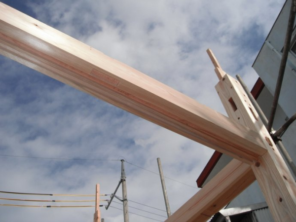 卯榫构造现代木结构住宅