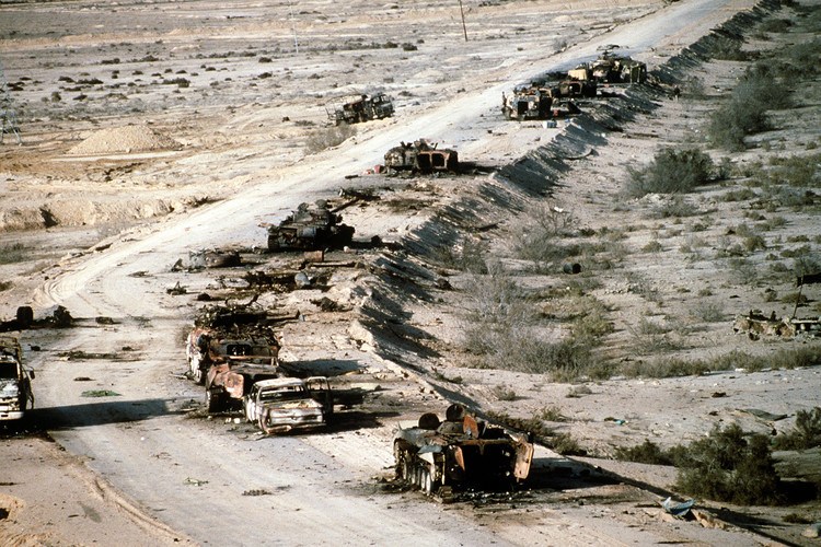 西部沙漠战役图片