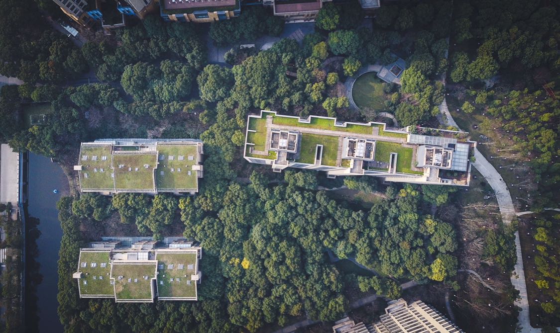 系列之:心心念念的中鹰黑森林