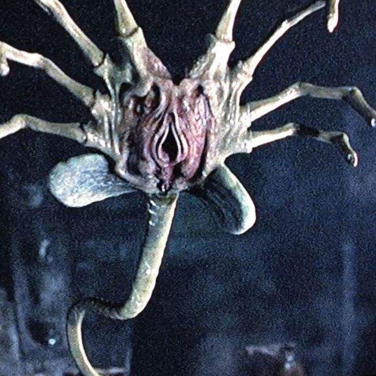 异形契约下个月能同步上映吗?