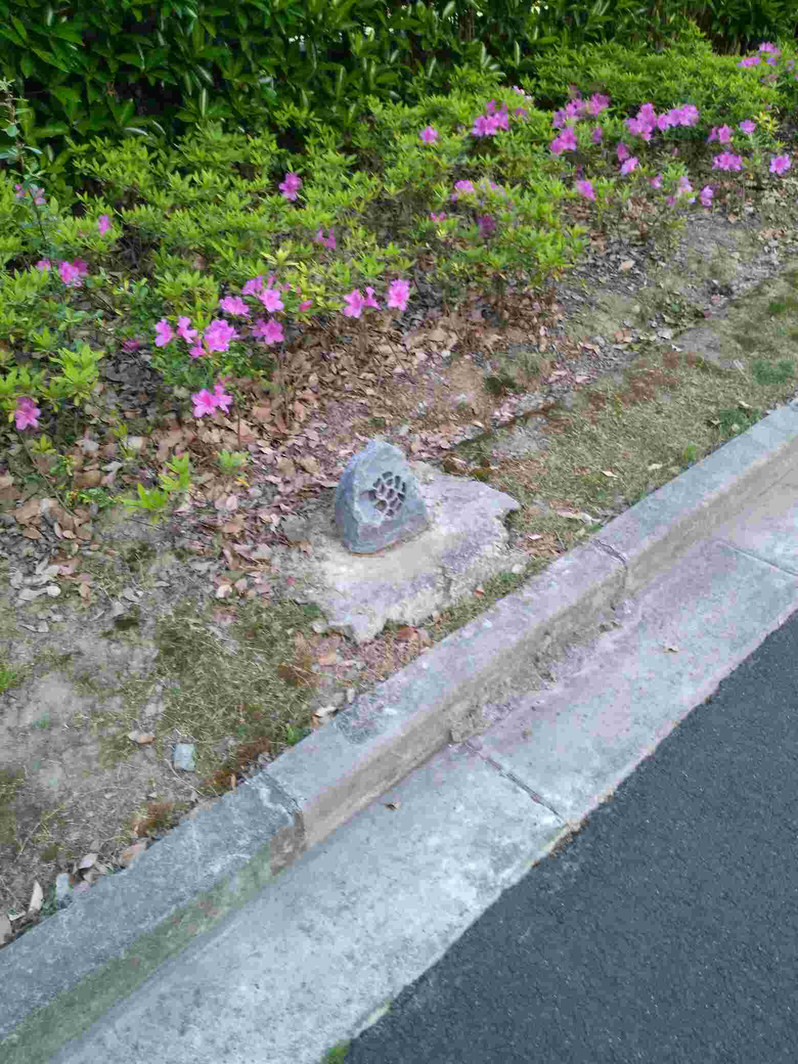 小区路边的这个石头是干什么用的?