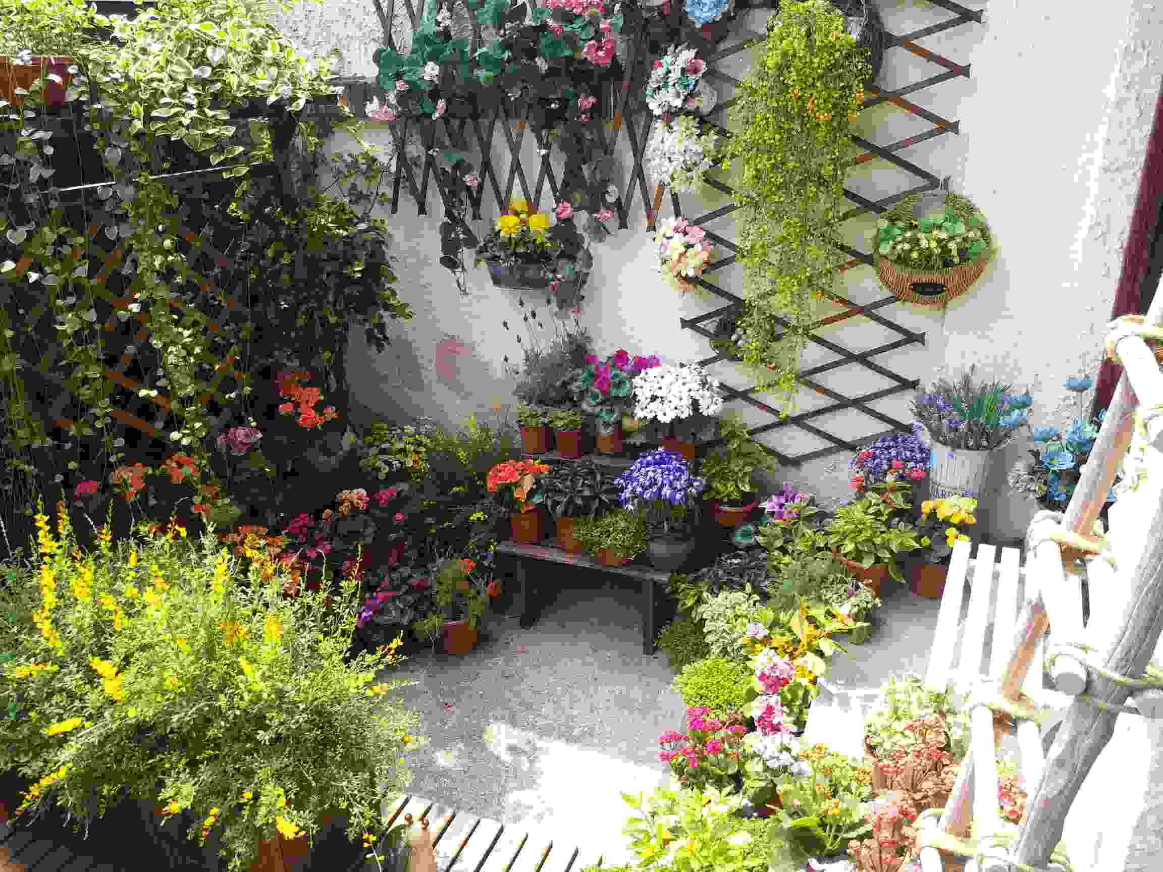 我如果住一楼我就弄这样的小庭院